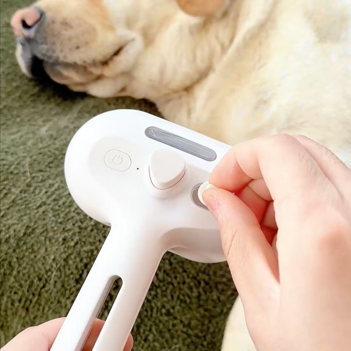 Pawjoy™ Steam Brush