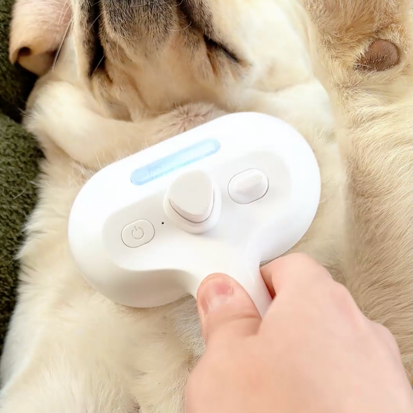Pawjoy™ Steam Brush