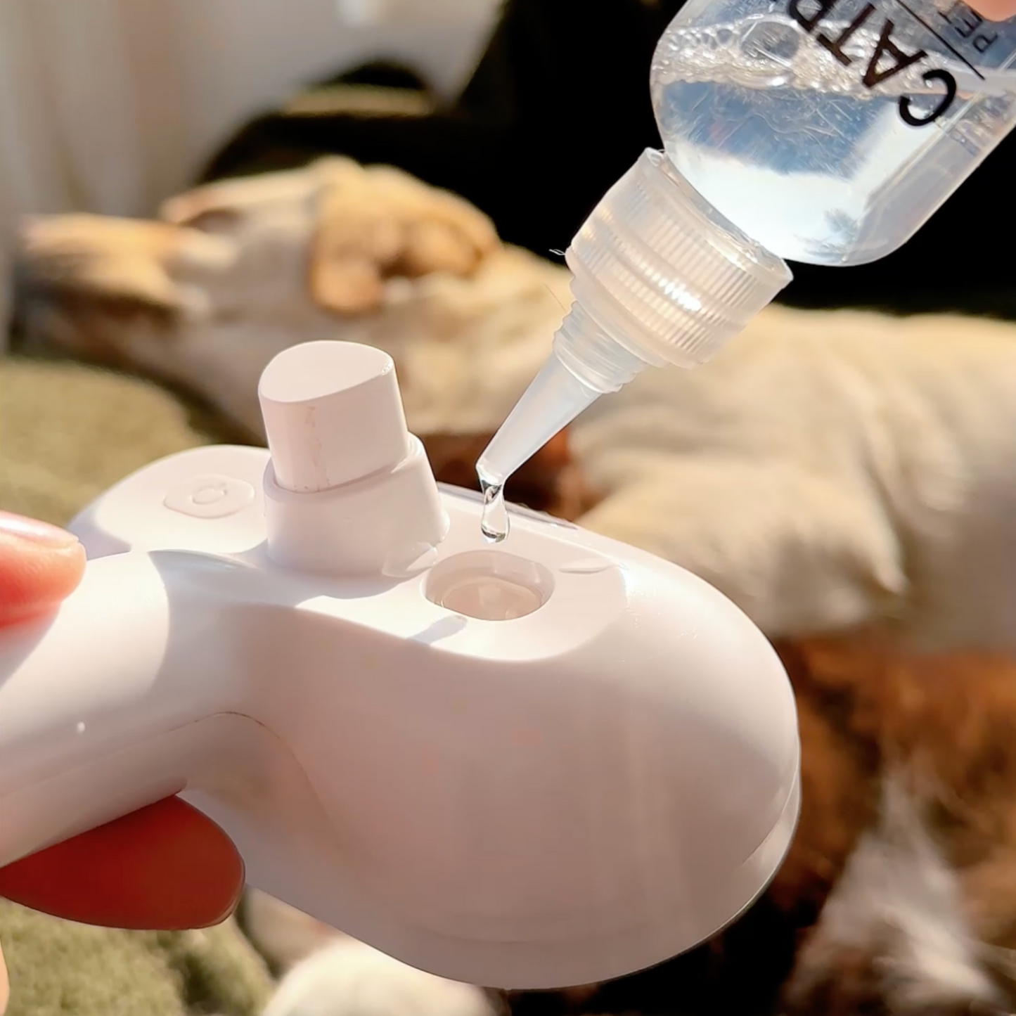 Pawjoy™ Steam Brush