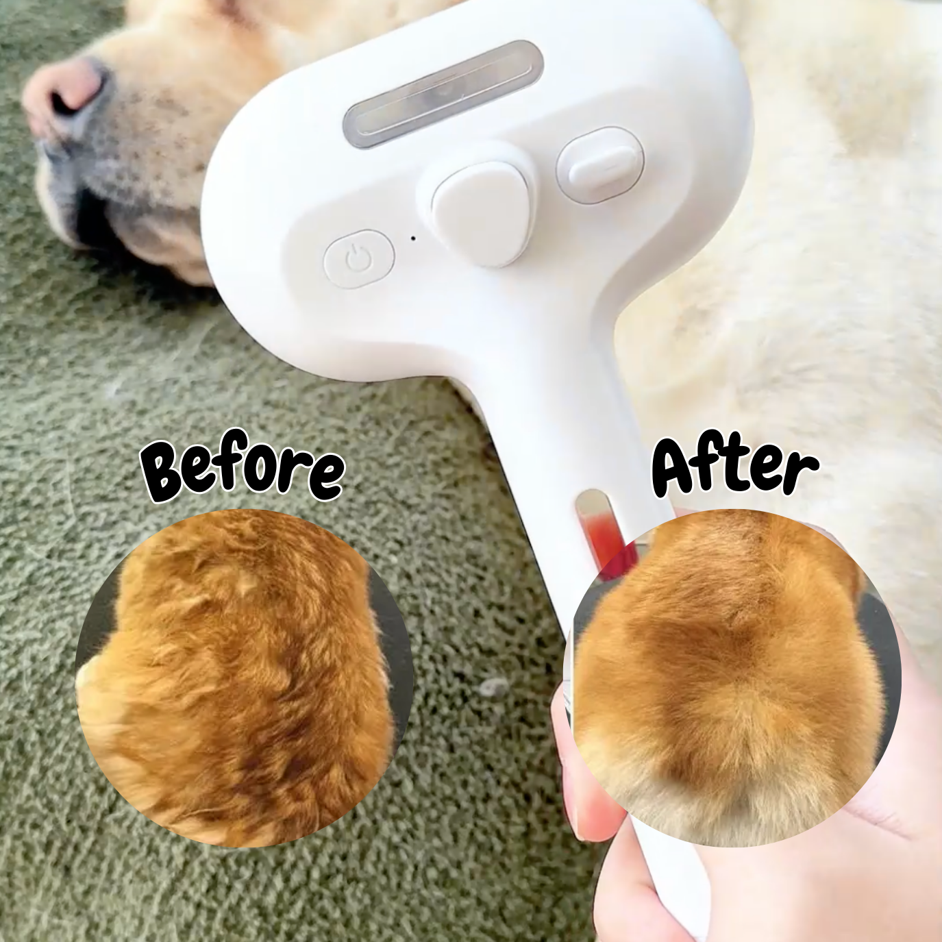 Pawjoy™ Steam Brush