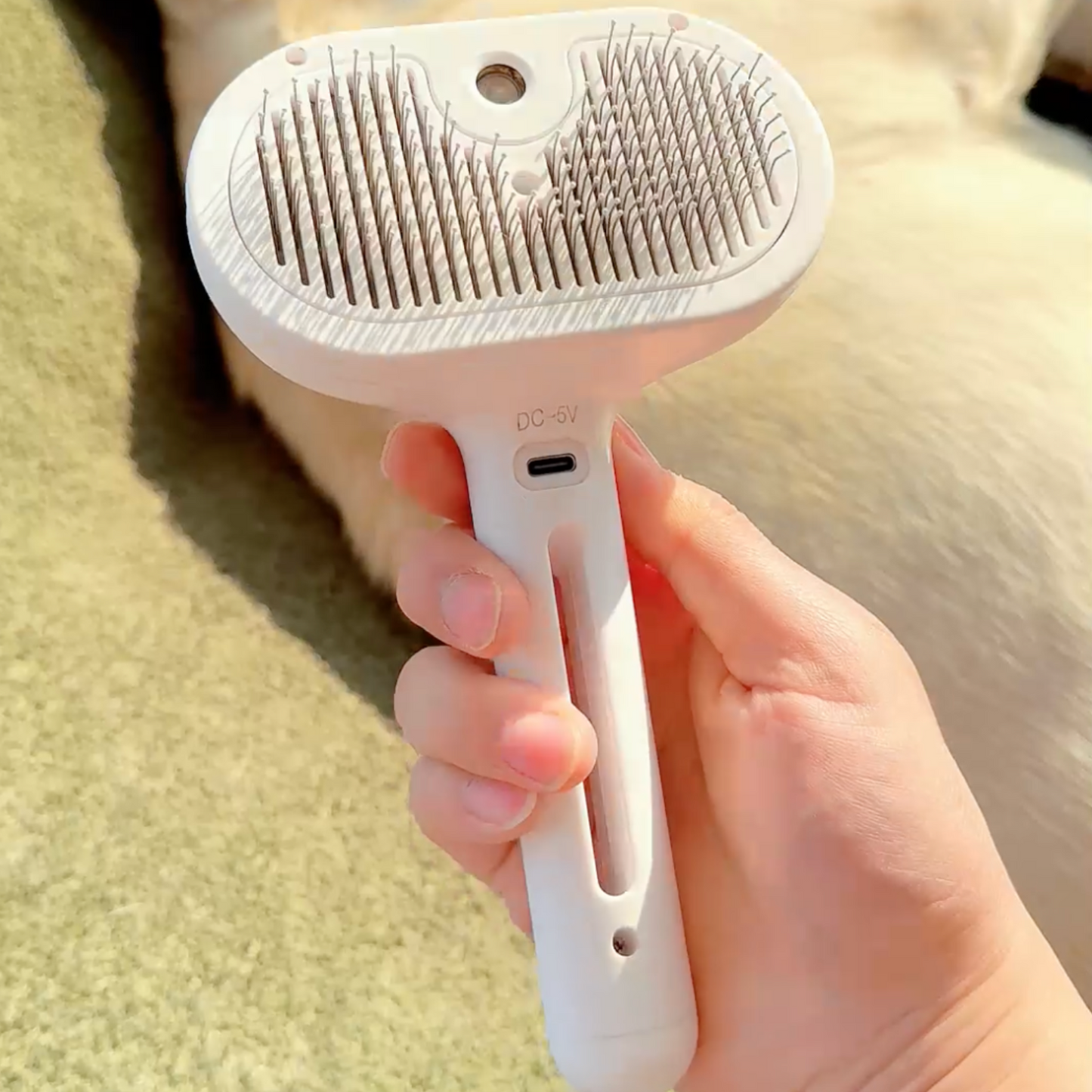 Pawjoy™ Steam Brush